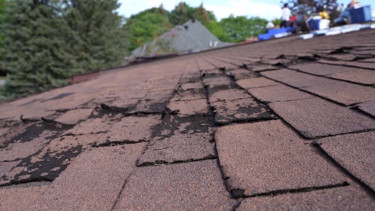 Best Flat Roofing  in New Castle, DE